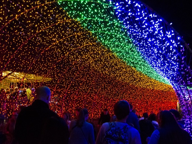 photos pnc festival of lights wcpo cincinnati oh