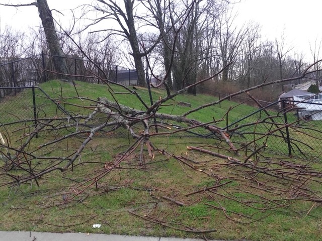 Wednesday morning storms rock the Tri-State