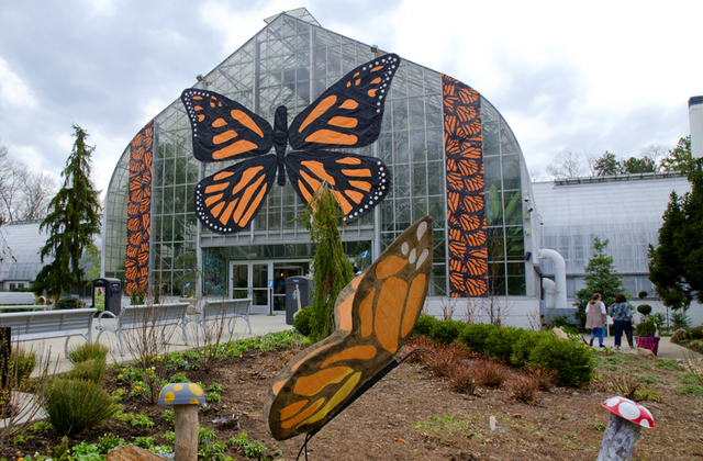 Krohn Conservatory Membership Fee Hike Upsets Families