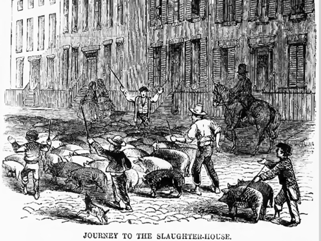 College essays about abuse picture