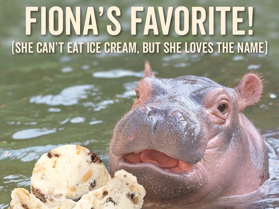 Fiona ice cream 'Chunky Chunky Hippo' coming to Graeter's in honor of