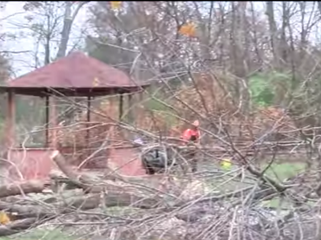 Homeowners Fight Duke Energy To Stop Cutting Down Trees