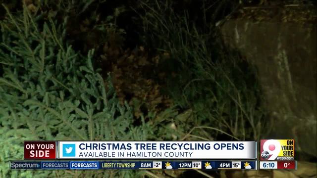 Christmas Tree Recycling In Wandsworth