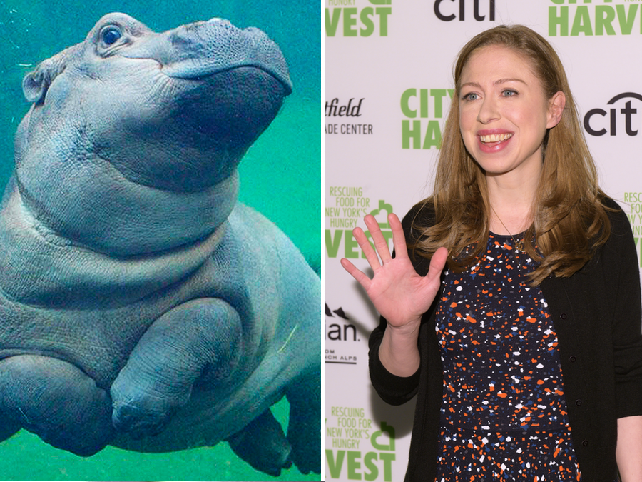Chelsea Clinton 'can't wait to meet Fiona' during Cincinnati visit - WCPO Cincin...