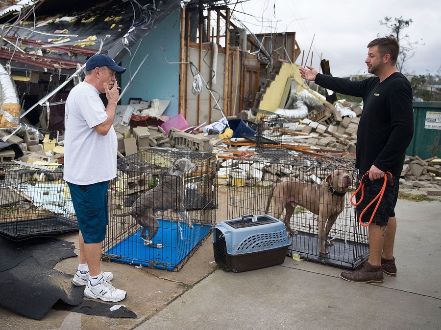 Hurricane Michael: Louie’s Legacy needs foster homes to help shelters impacted...