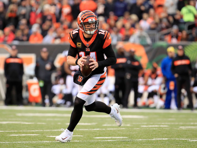Bengals struggled in the first half of the season, but they're still very much in the mix