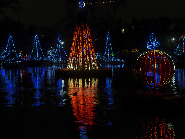 Cincinnati Zoo to ring in new year with virtual countdown - Vimarsana News